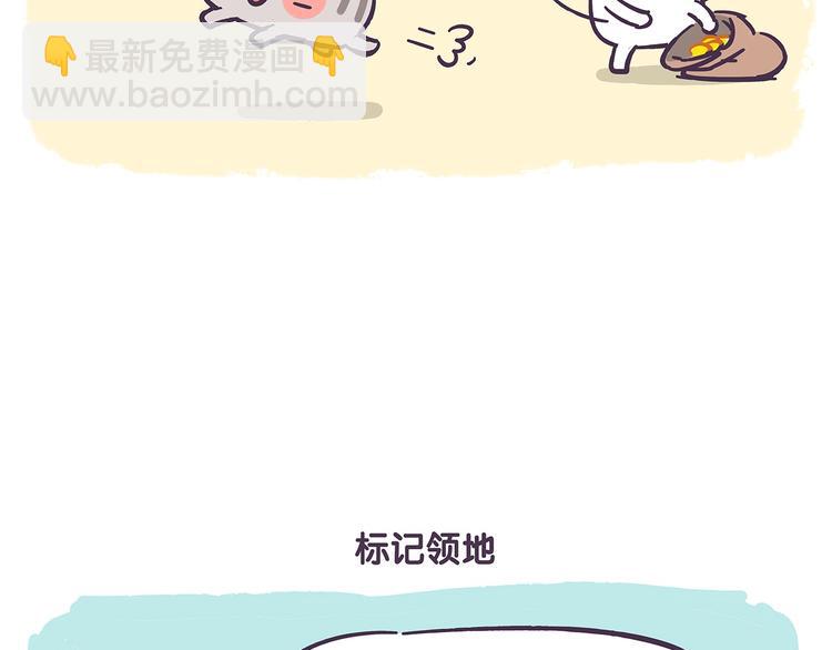 第41话 铲屎官必读5