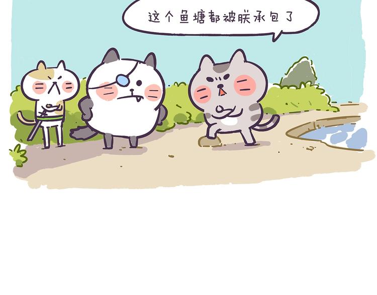 第41话 铲屎官必读6
