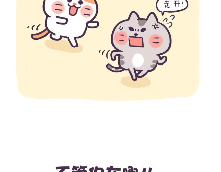 第46话 无处不在13