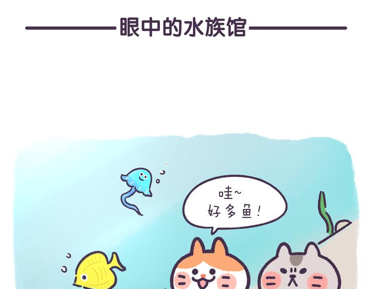 第49话 眼中的水族馆1