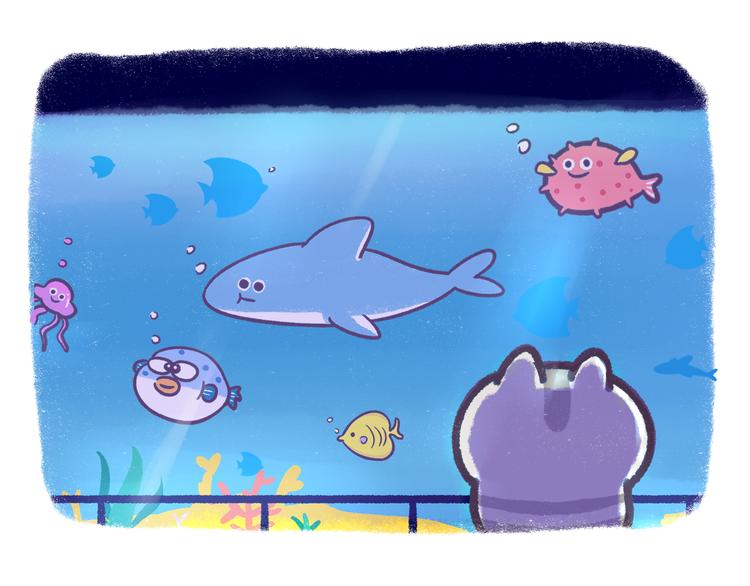 第49话 眼中的水族馆4