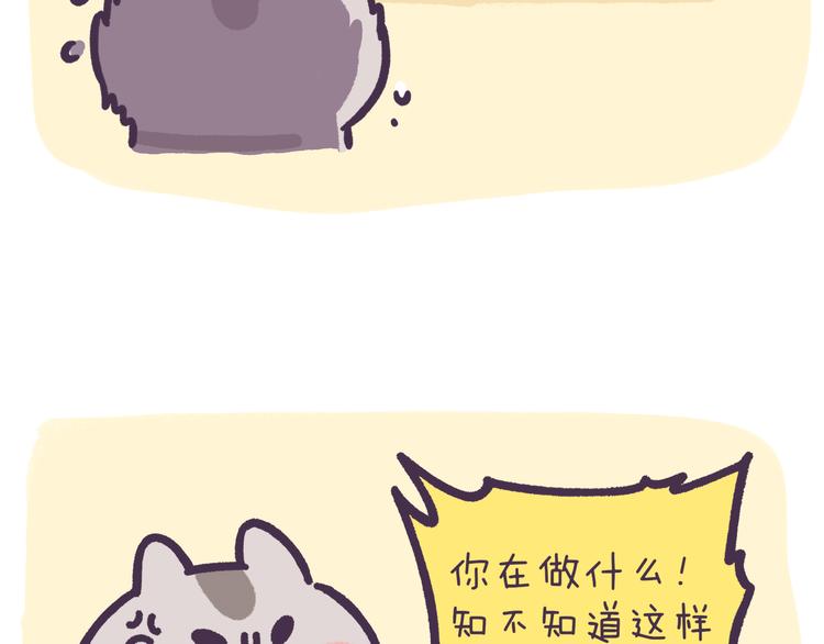第54话 “智障”的执着7