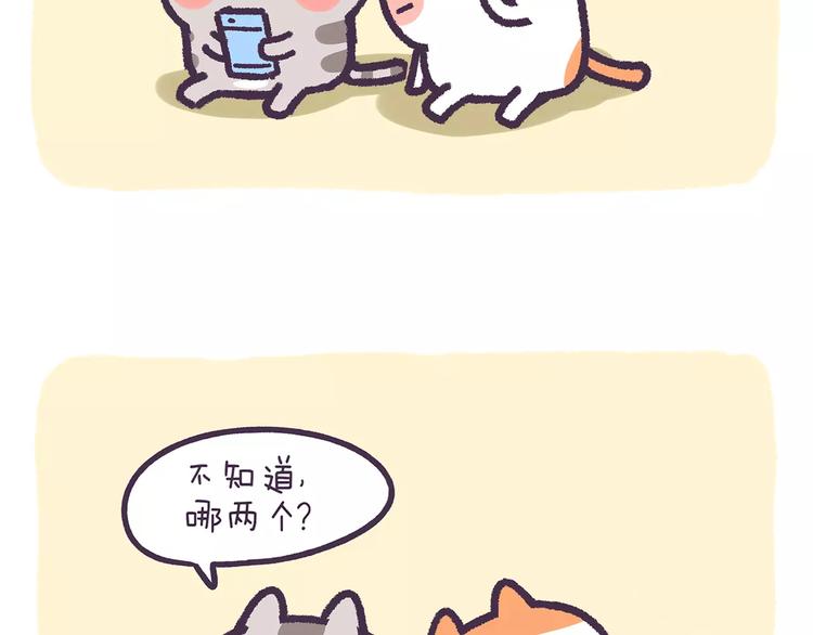 第62话 我的可爱之处8