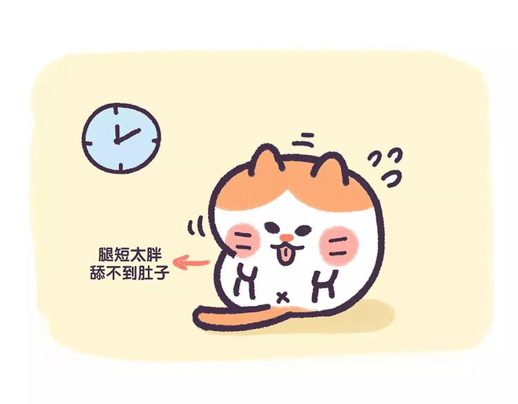 第67话 腿短了不起啊11