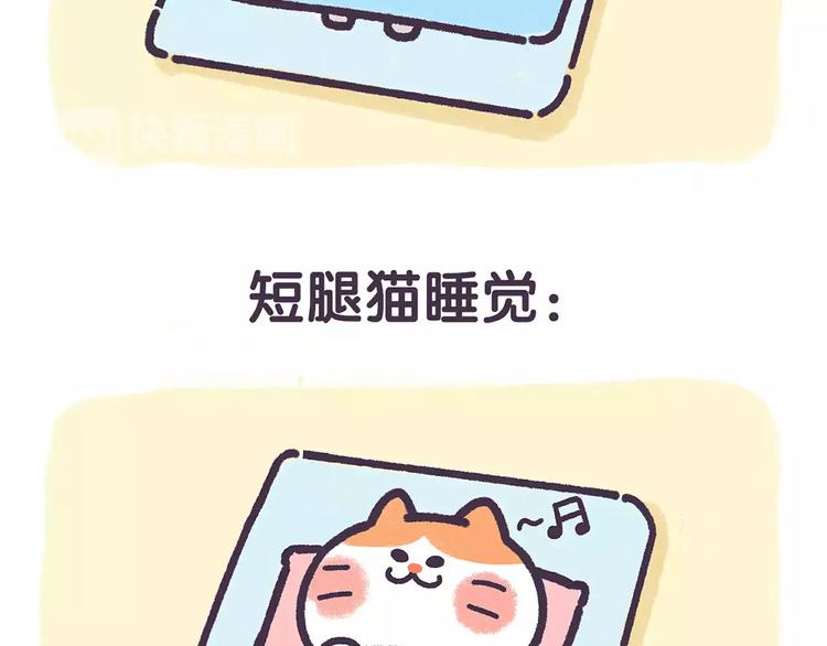 第67话 腿短了不起啊2