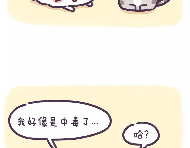 第76话 我中毒了2