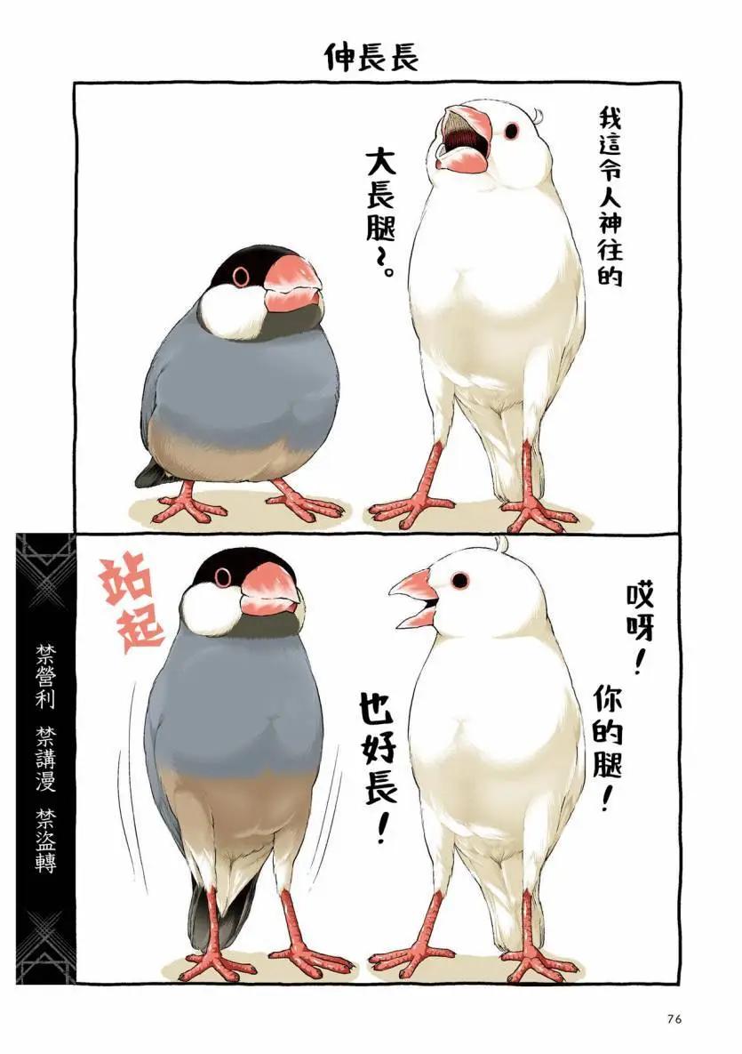 第03话17