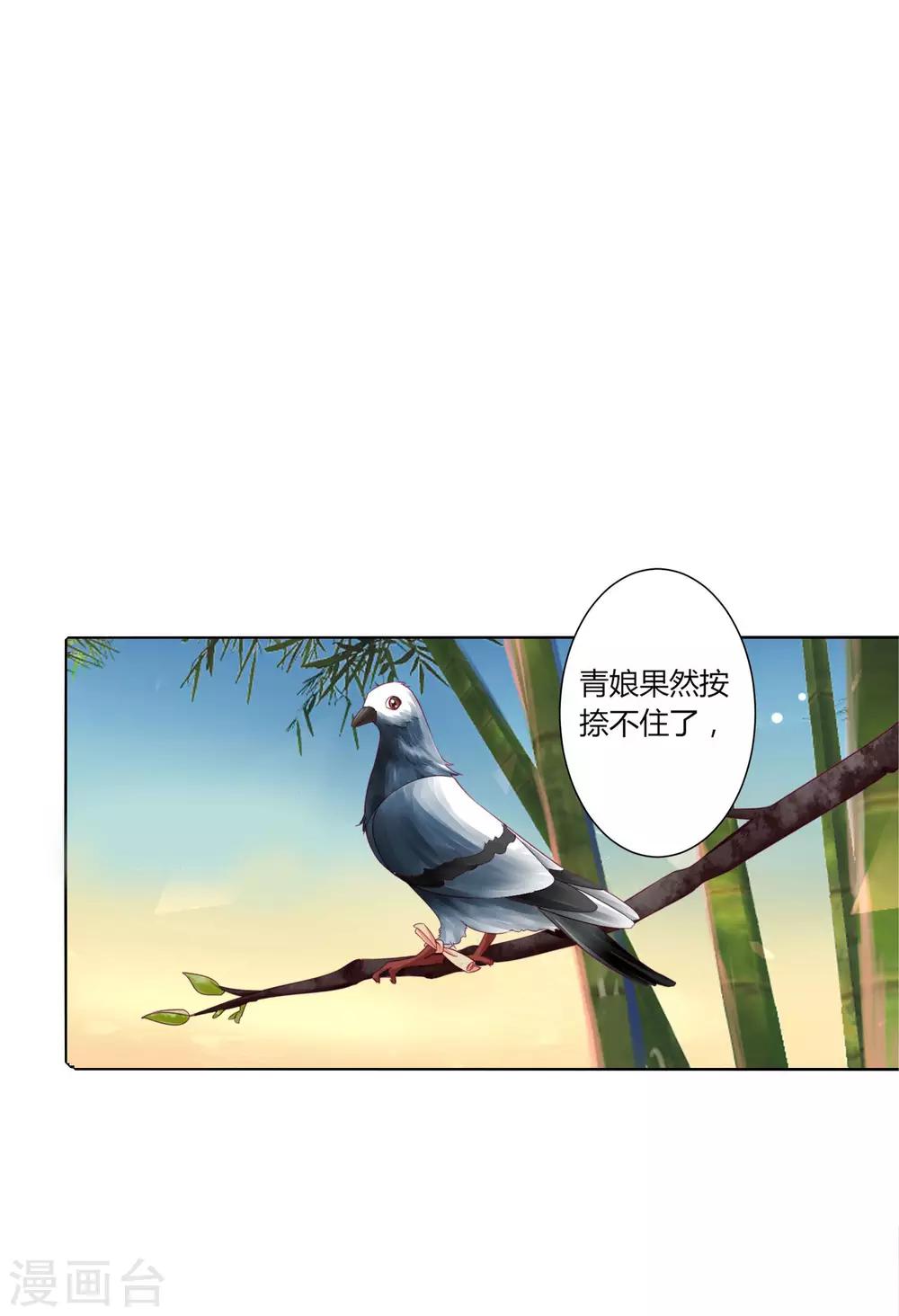 第28话 青娘的身份1