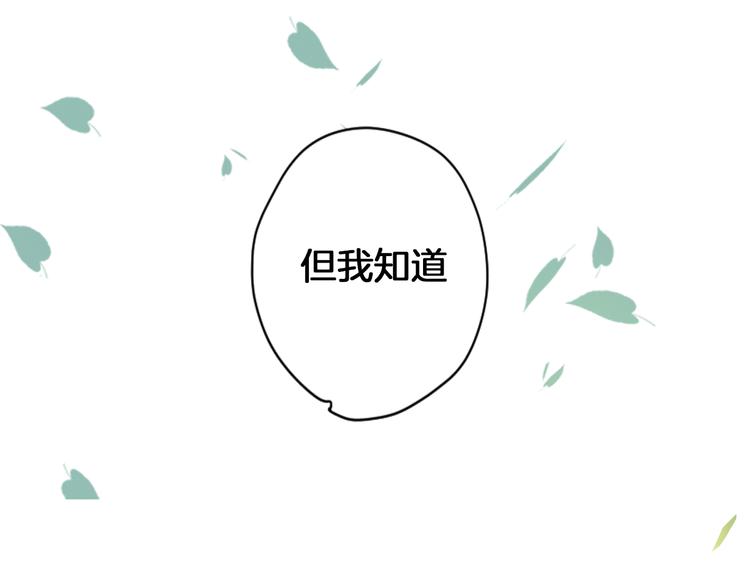 第二季 倾情归来13