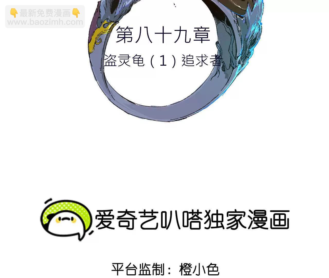 盗灵龟（1）追求者3