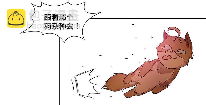 第一话 岛名侠客33