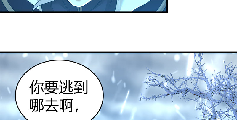 第七十七话 局中局87