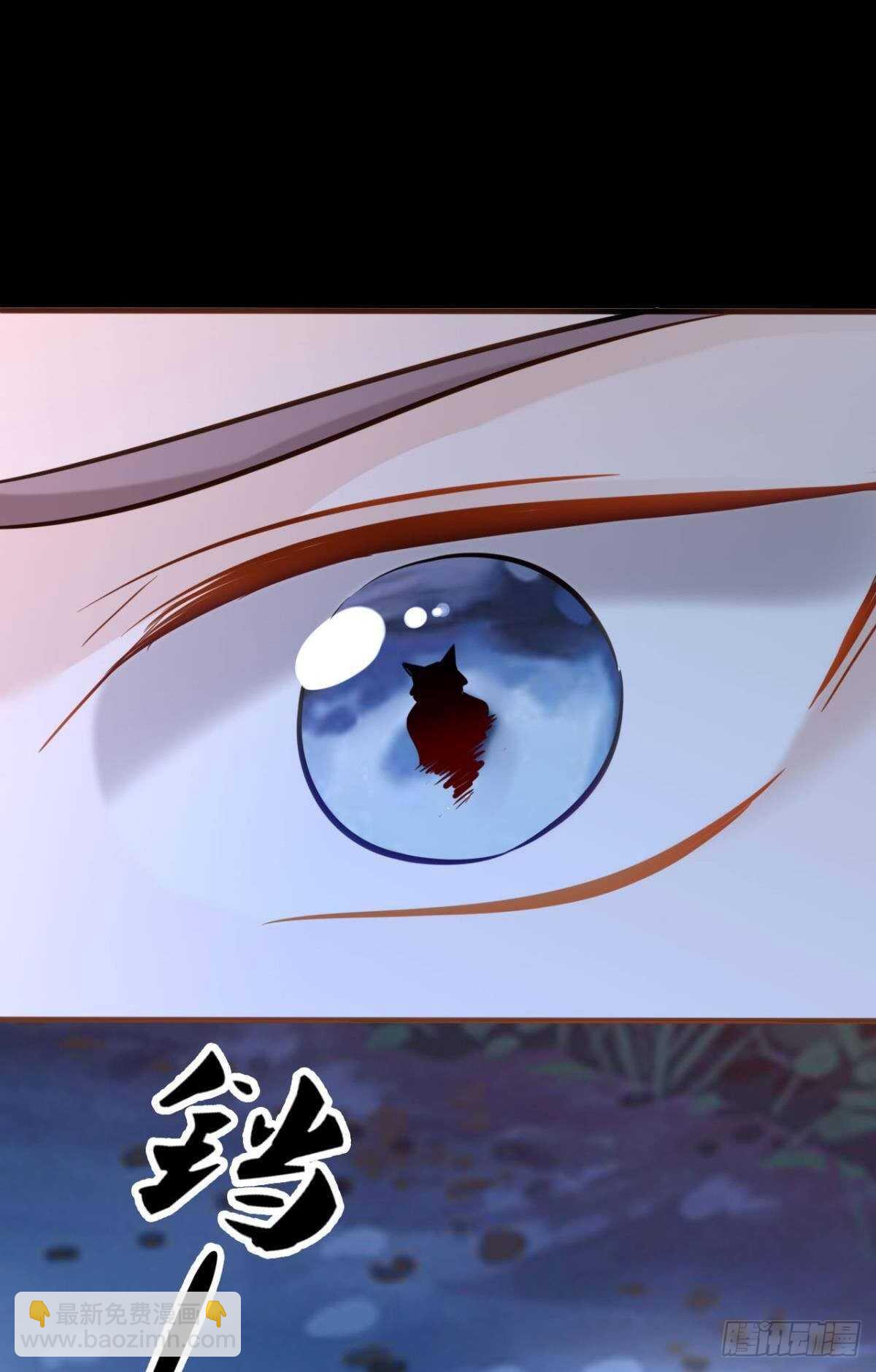 50 月圆36