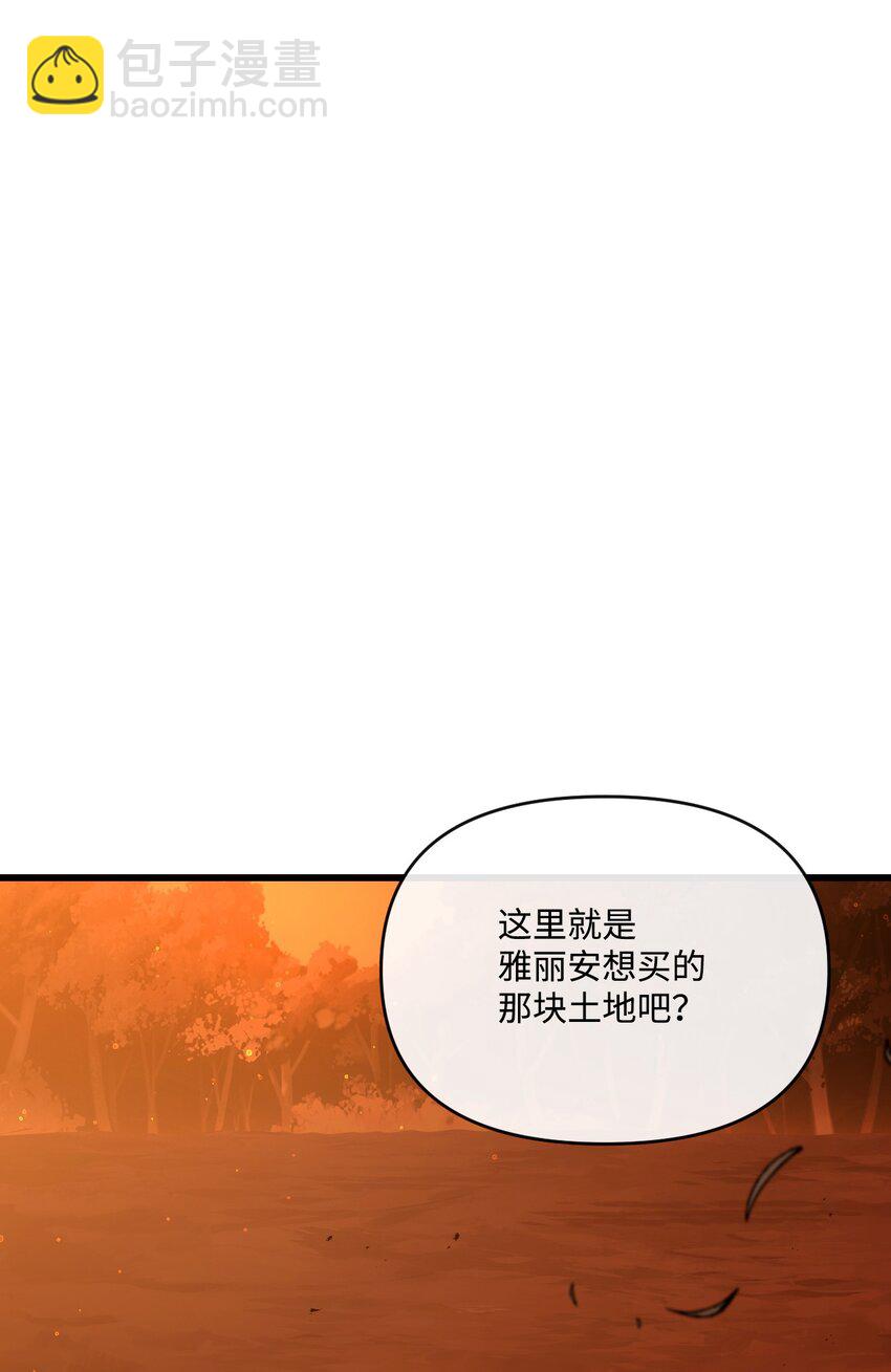 27 可疑的土地37
