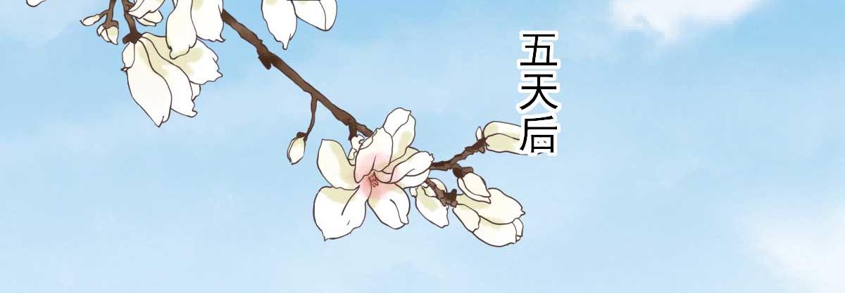 第53话  如愿以偿57