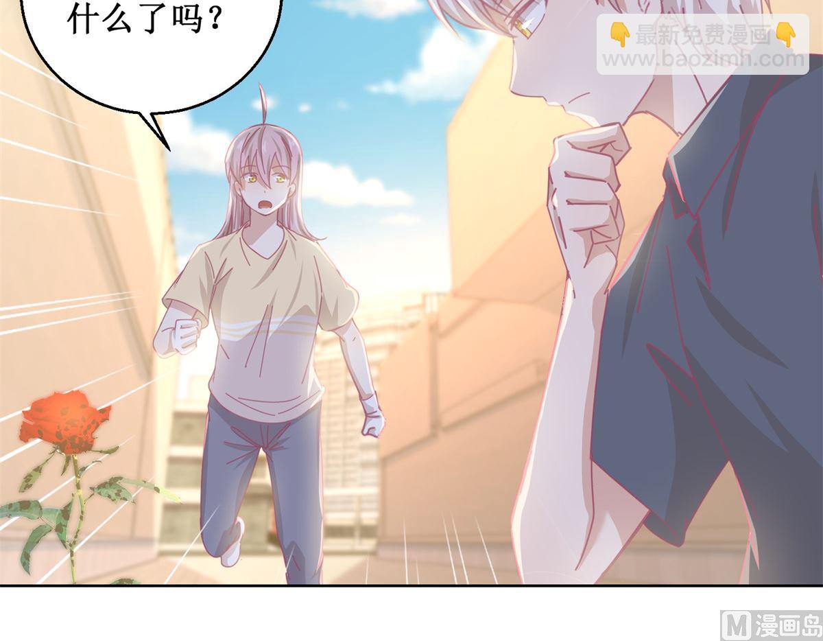 第80回 红玫瑰18
