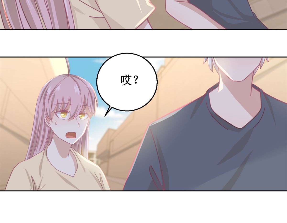 第80回 红玫瑰20