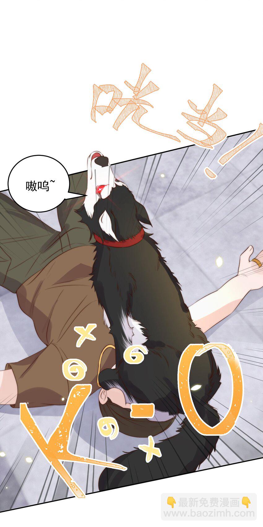 029 阴谋41