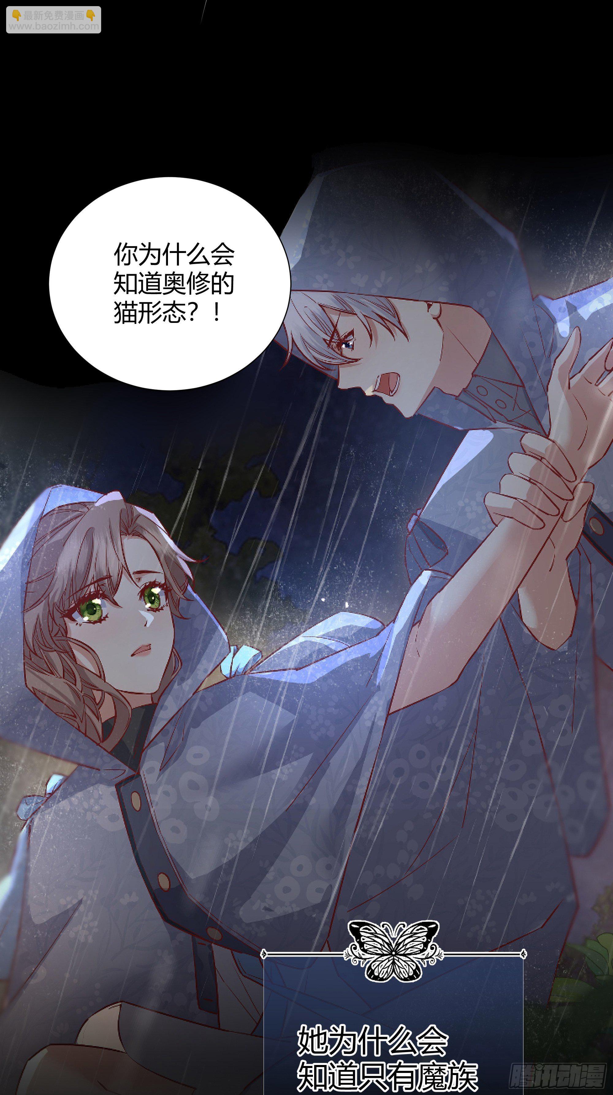 番外.艾利尔41