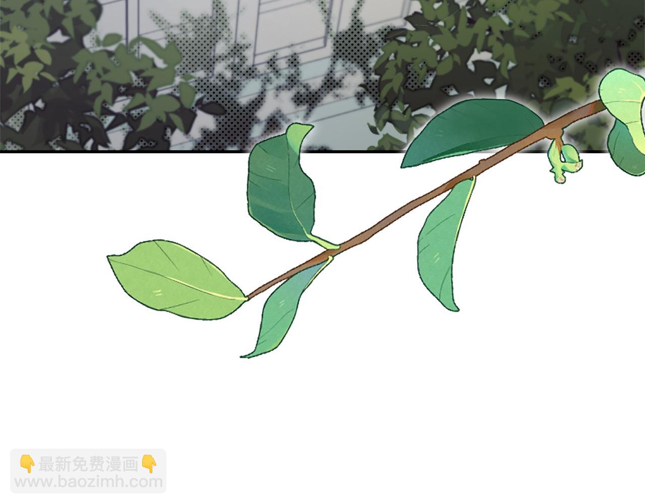 第64话 至少还有我11
