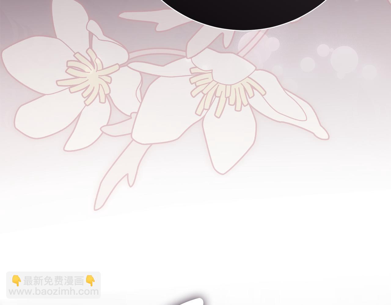 第85话 “保险”227