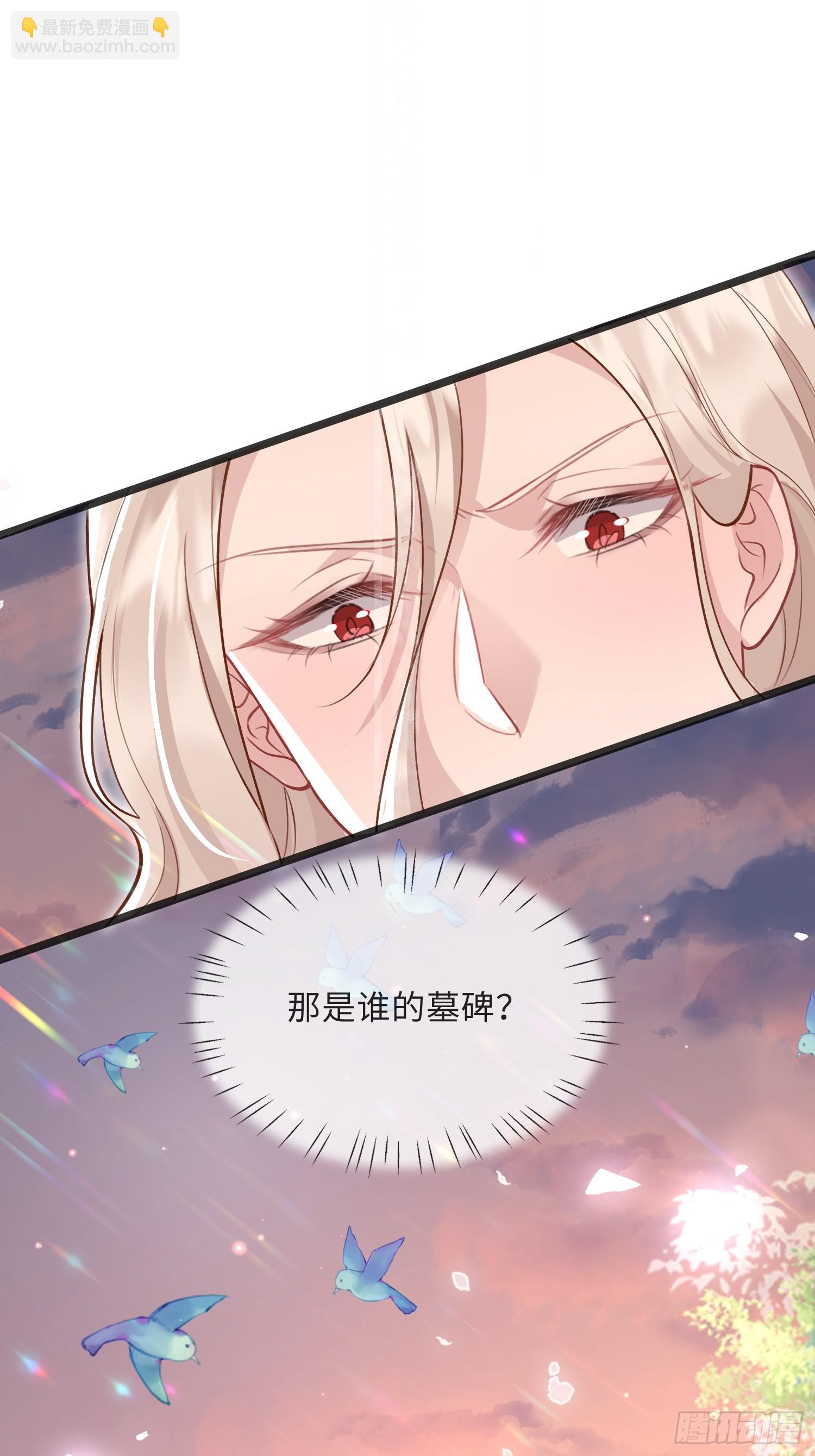 09 猫的梦境11