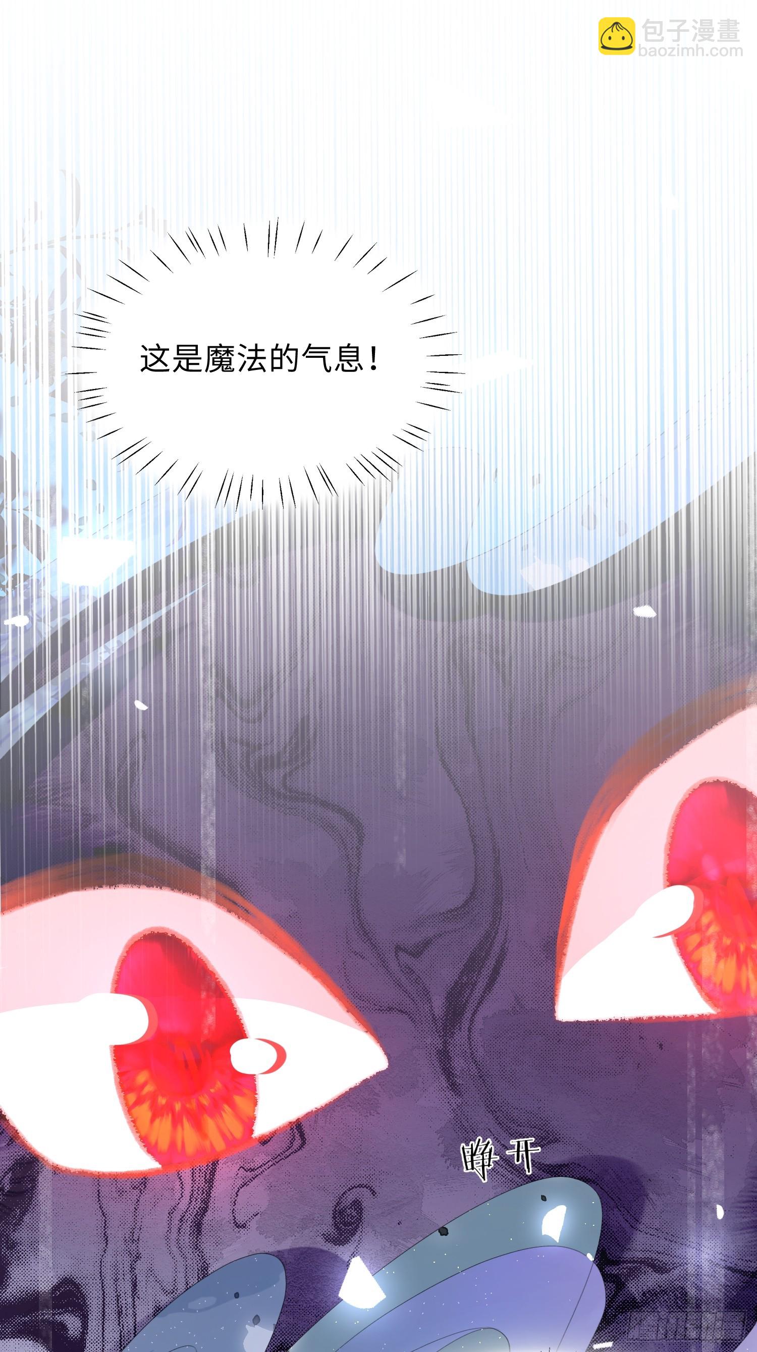 09 猫的梦境17