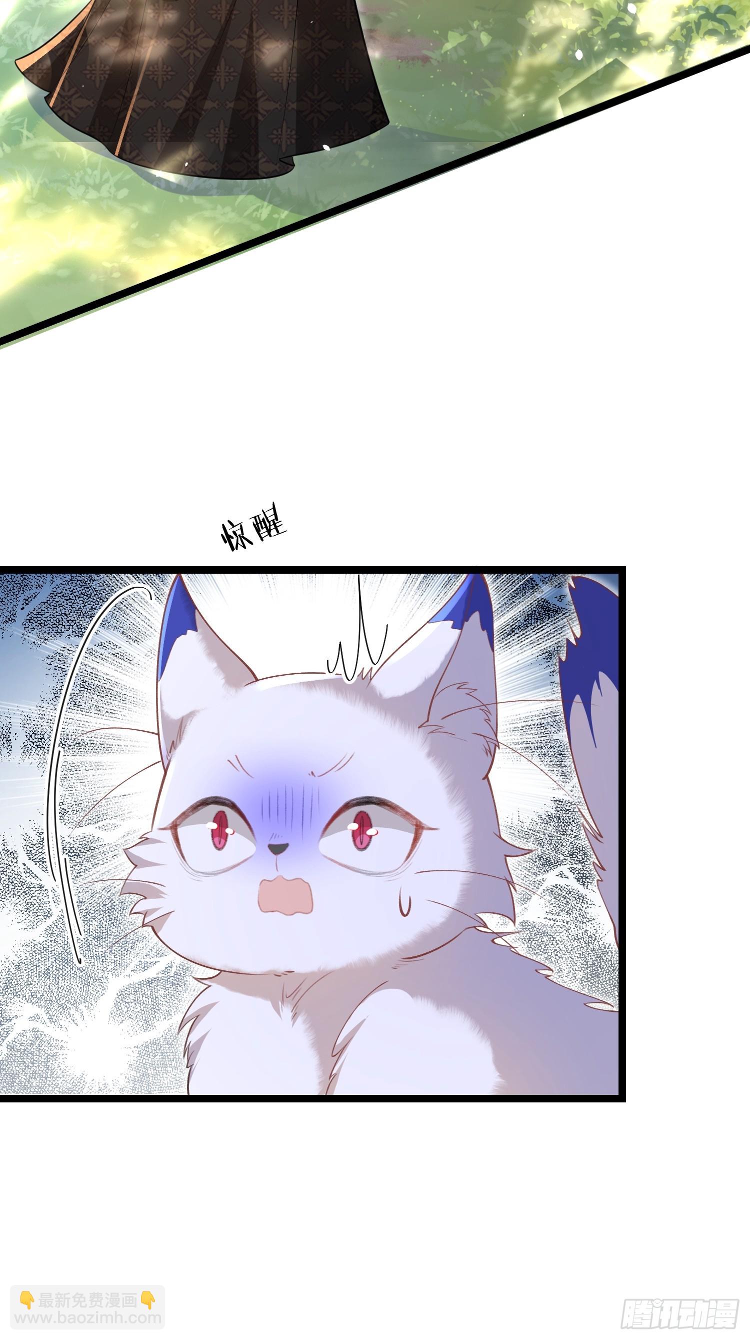 09 猫的梦境21