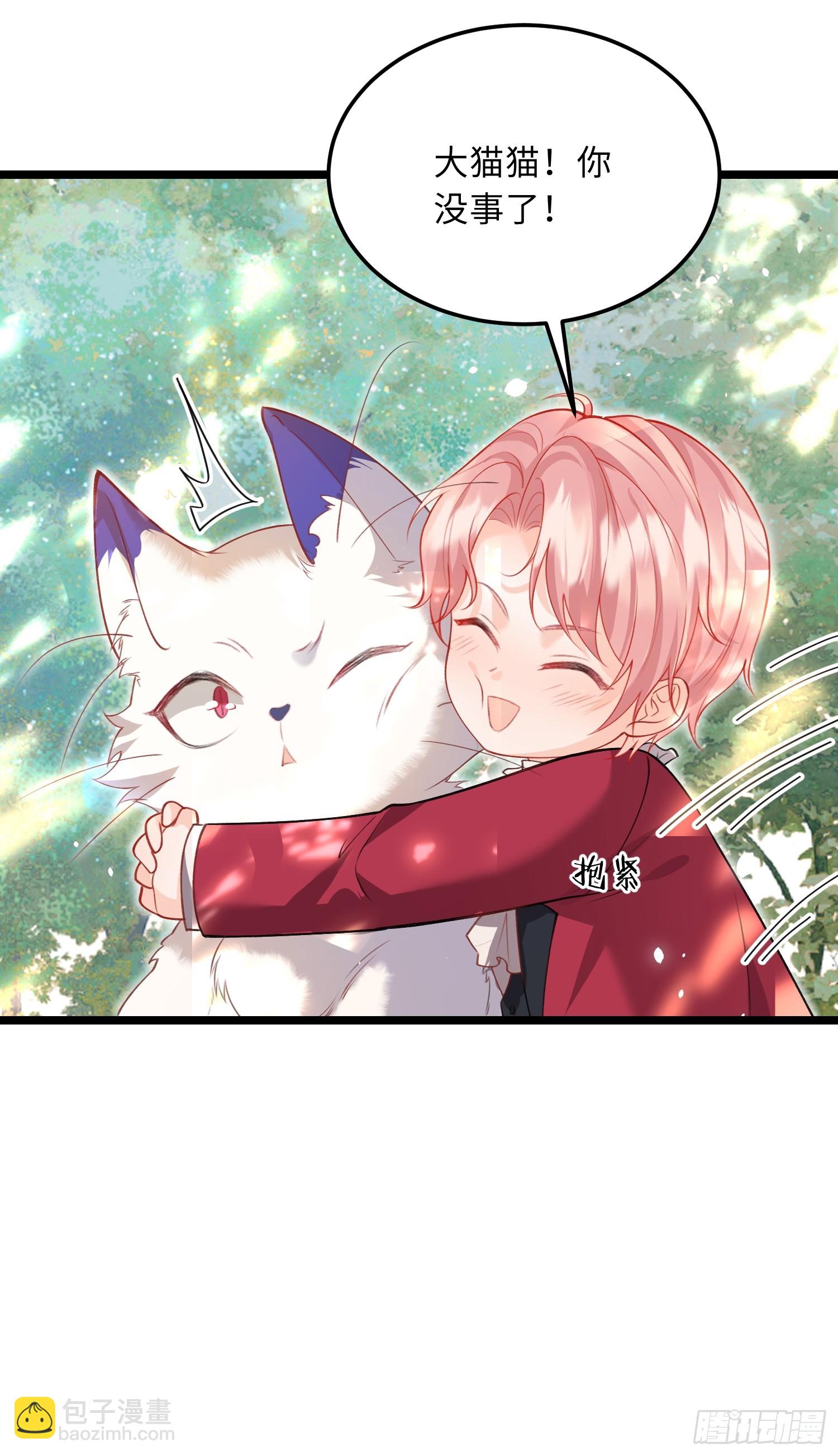09 猫的梦境22