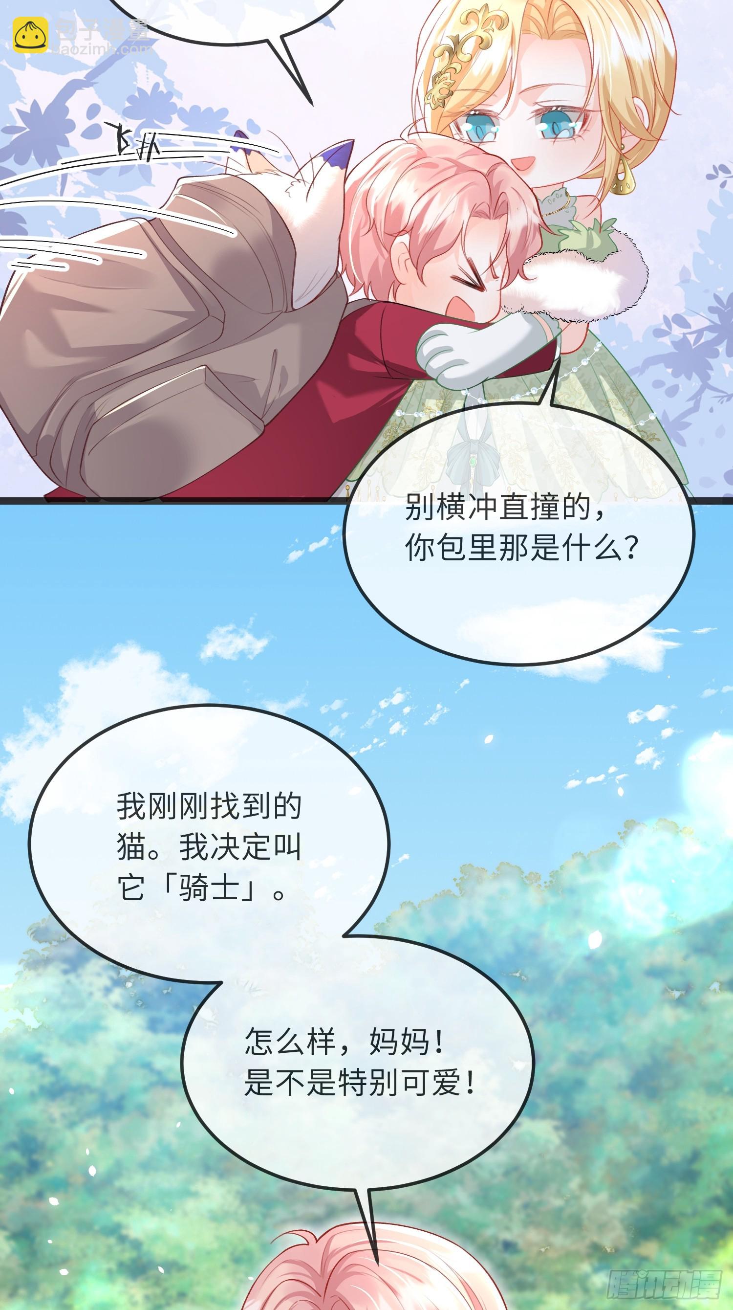 09 猫的梦境33