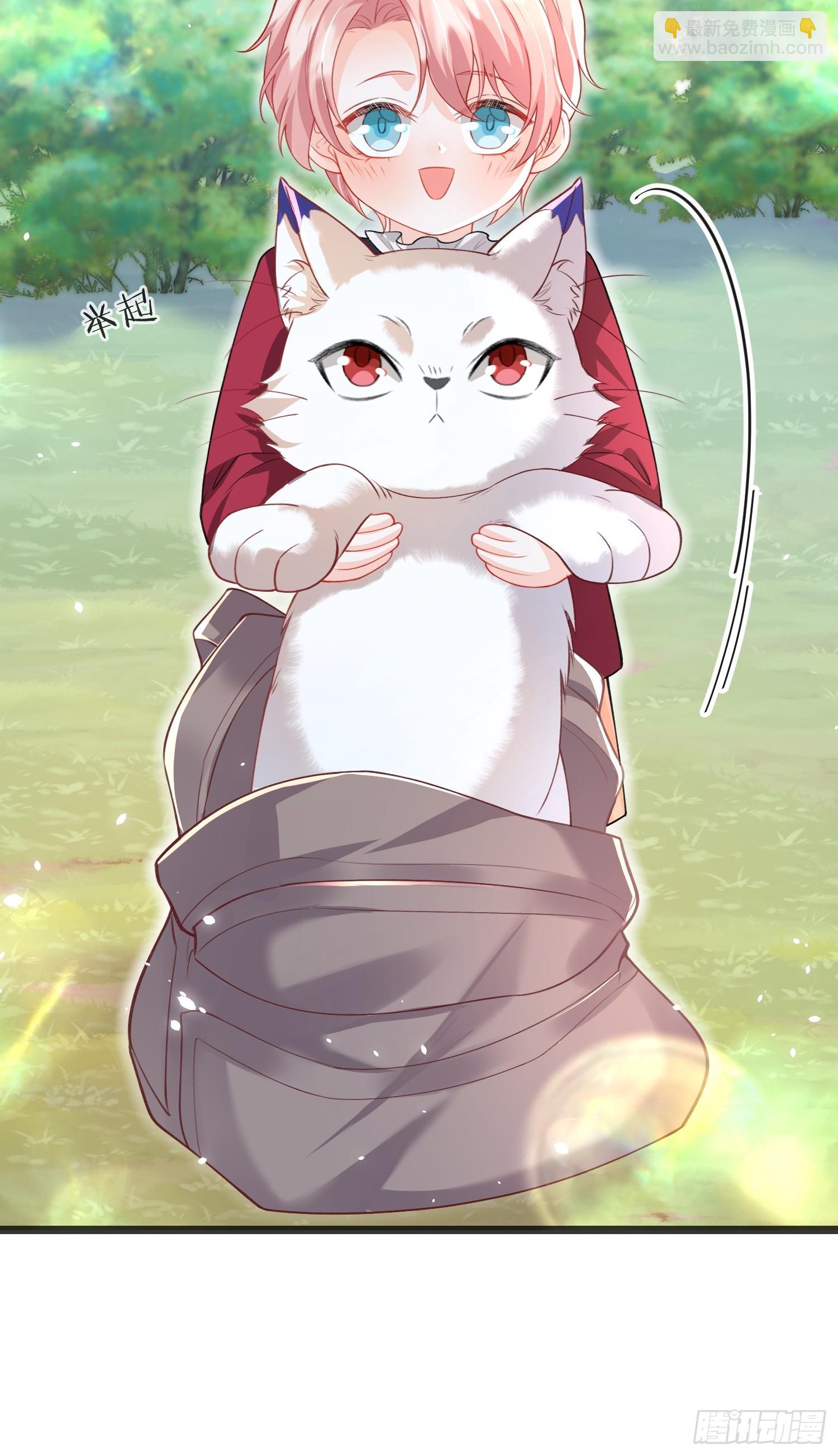 09 猫的梦境34