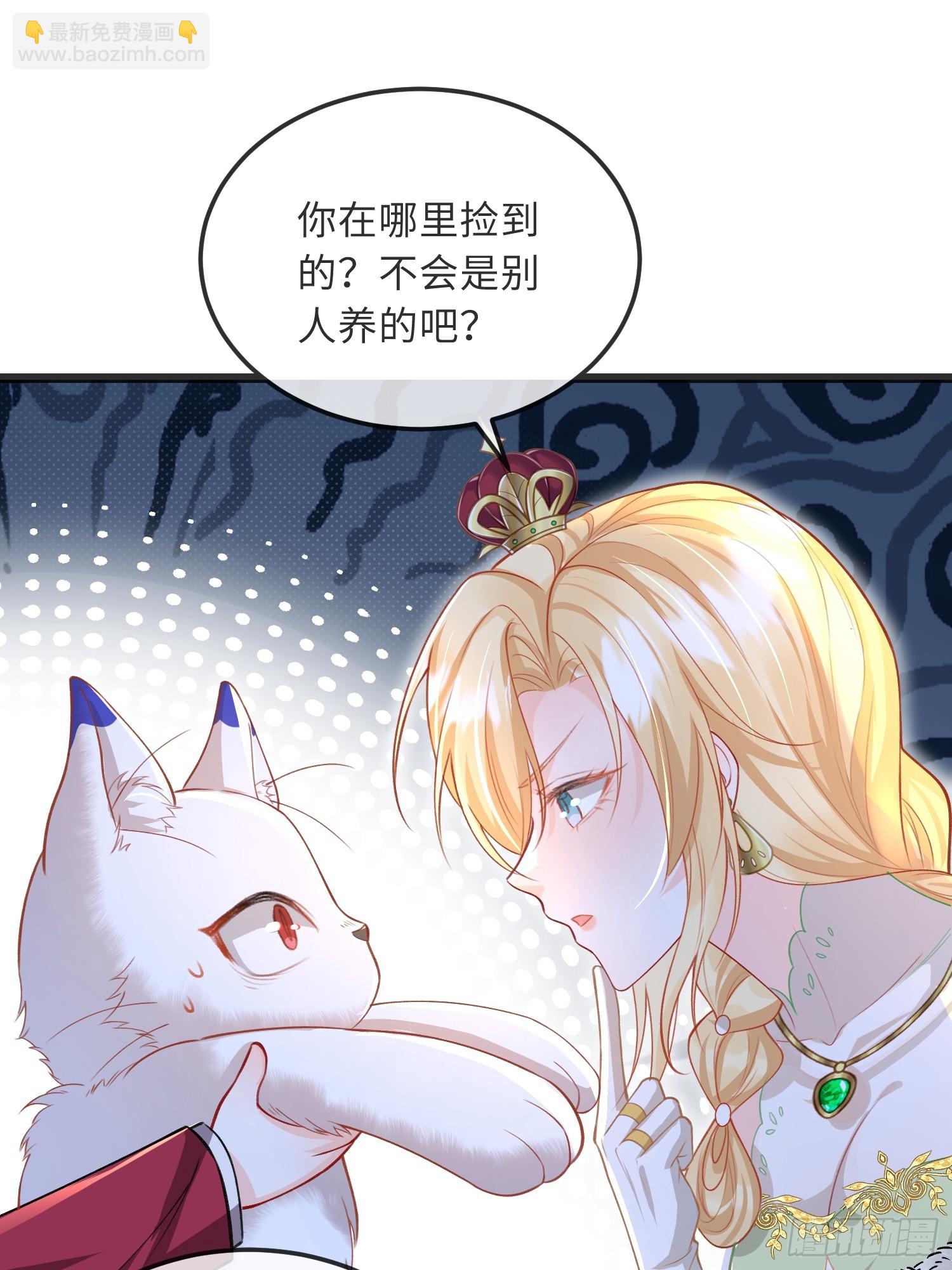 09 猫的梦境35