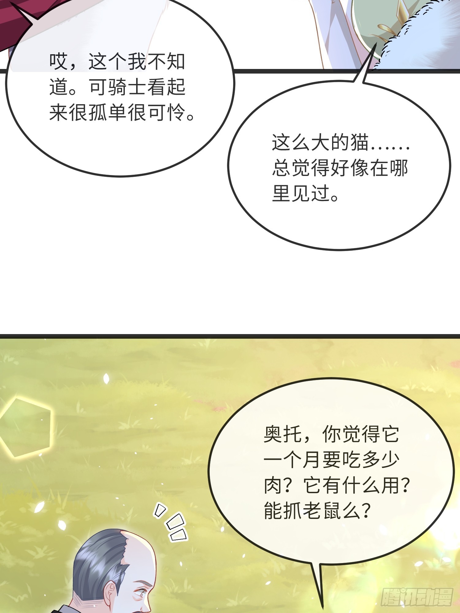 09 猫的梦境36