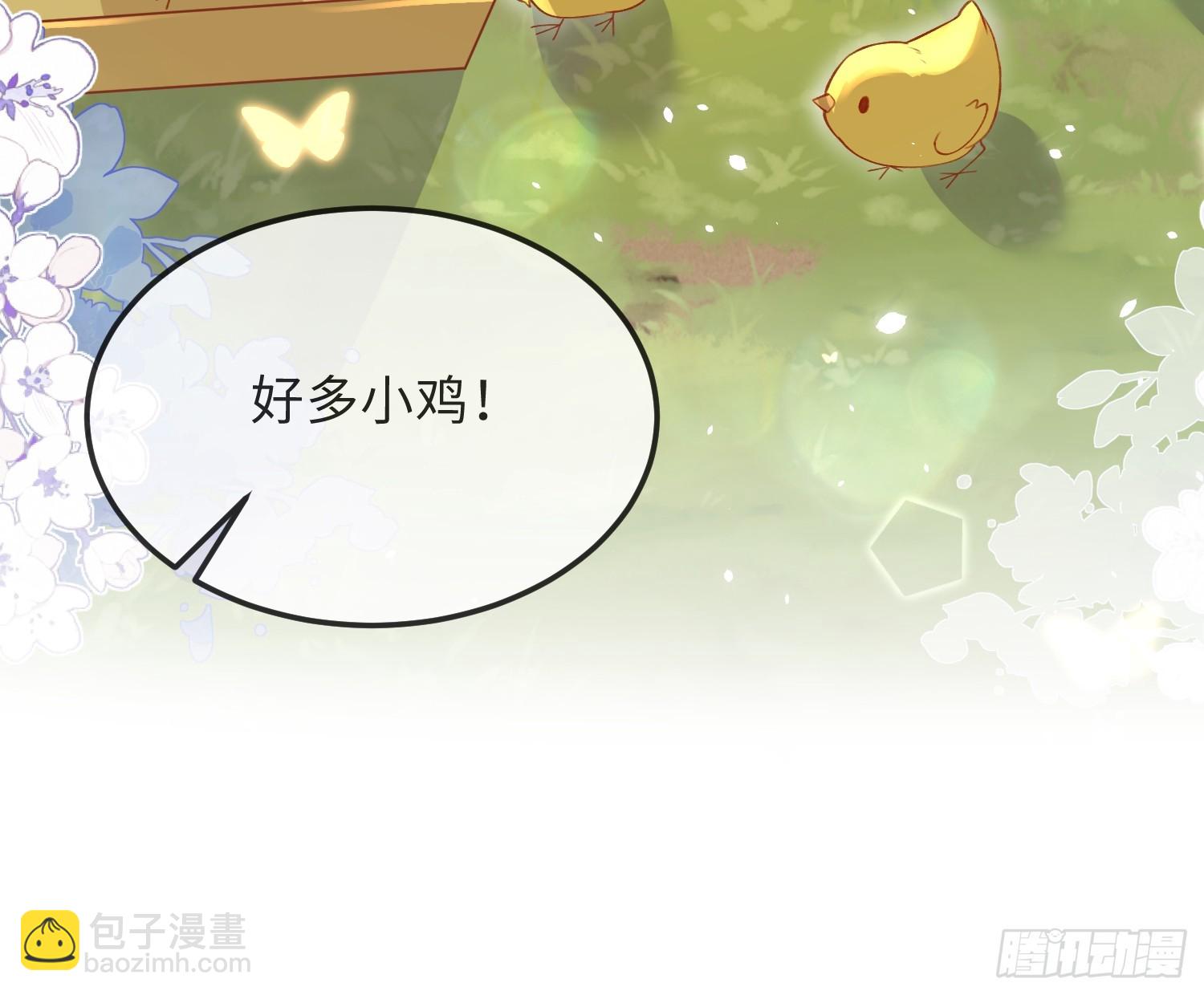 09 猫的梦境42