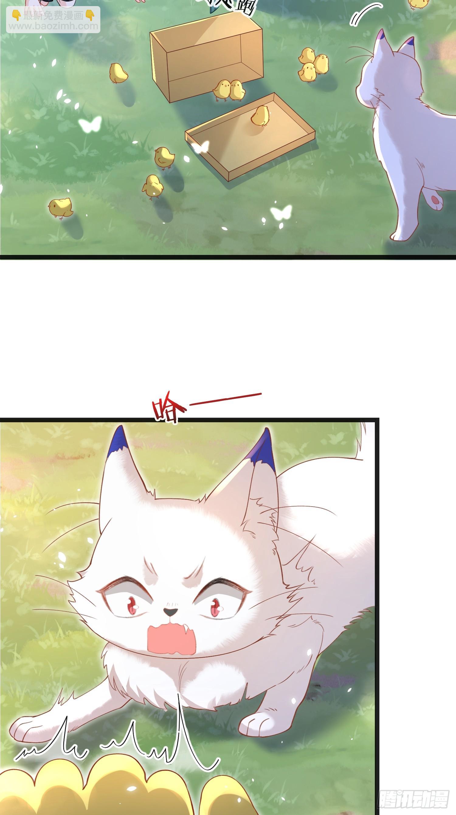 09 猫的梦境44