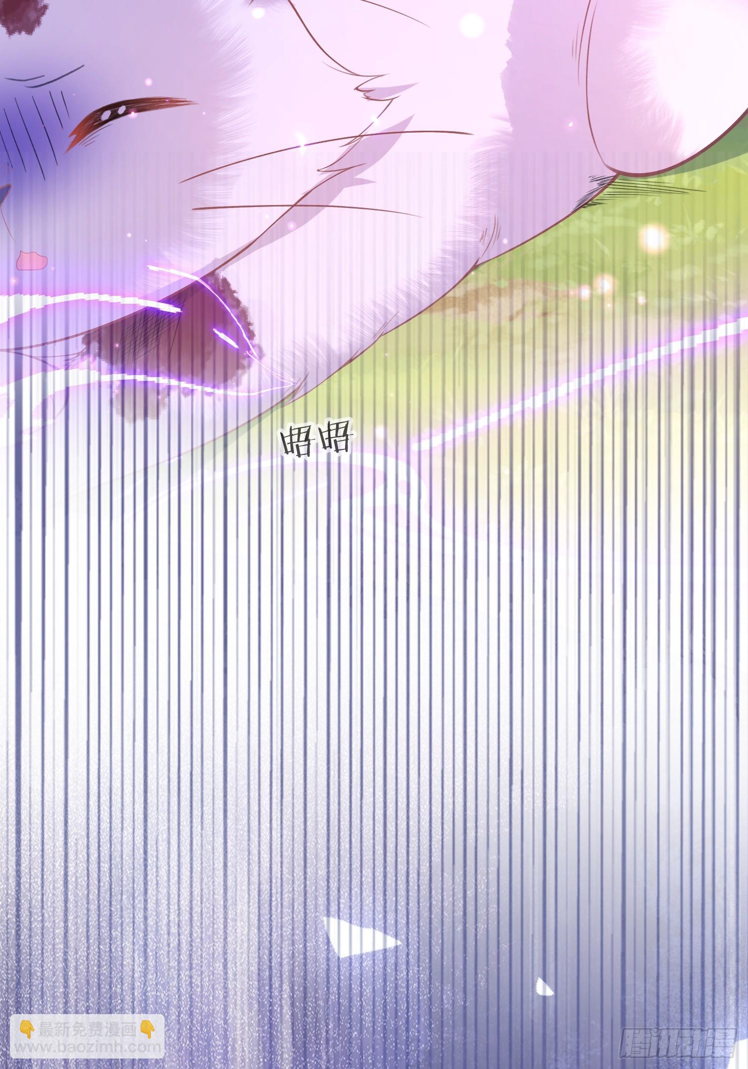09 猫的梦境6