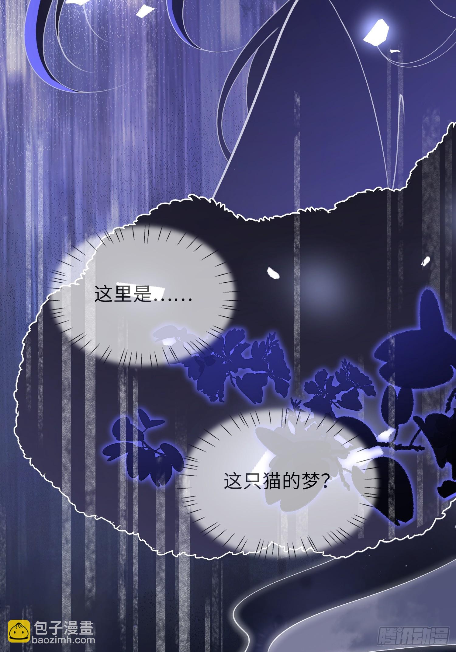 09 猫的梦境8