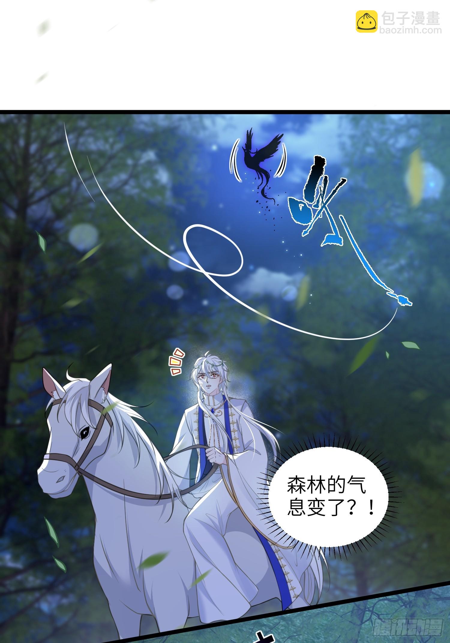 73 玛歌的爱8