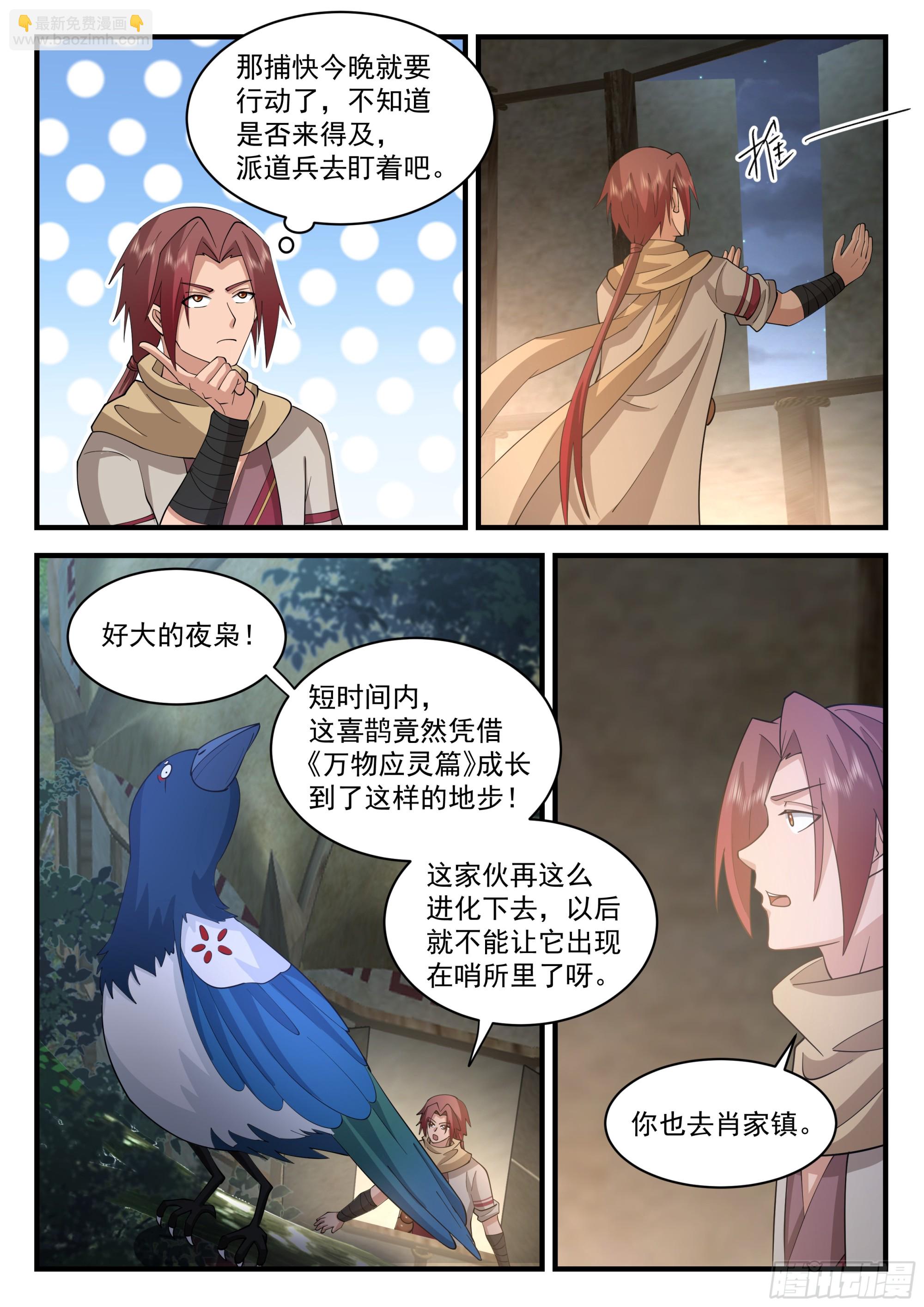 柳四白6