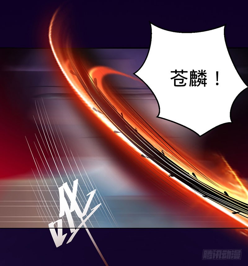 换我保护大家6