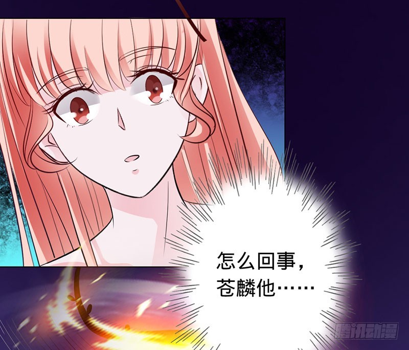 换我保护大家7