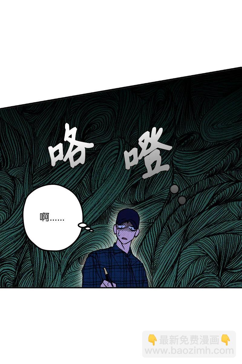 17 复仇16