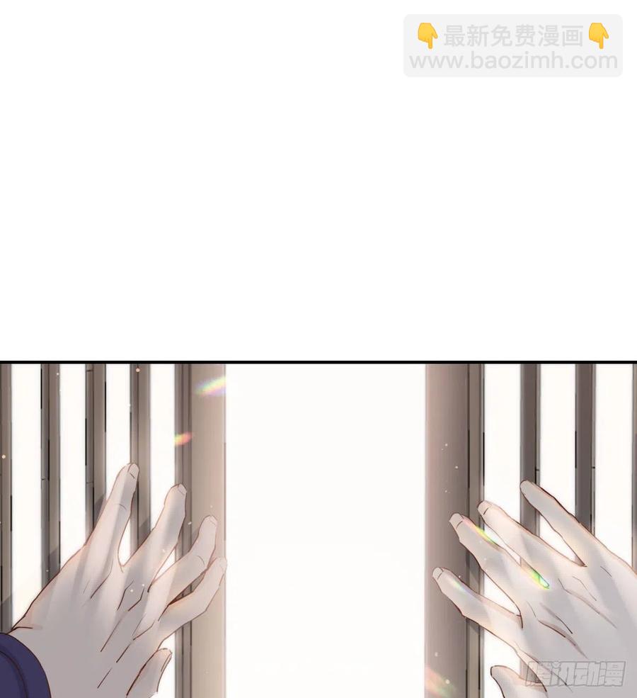 君临41