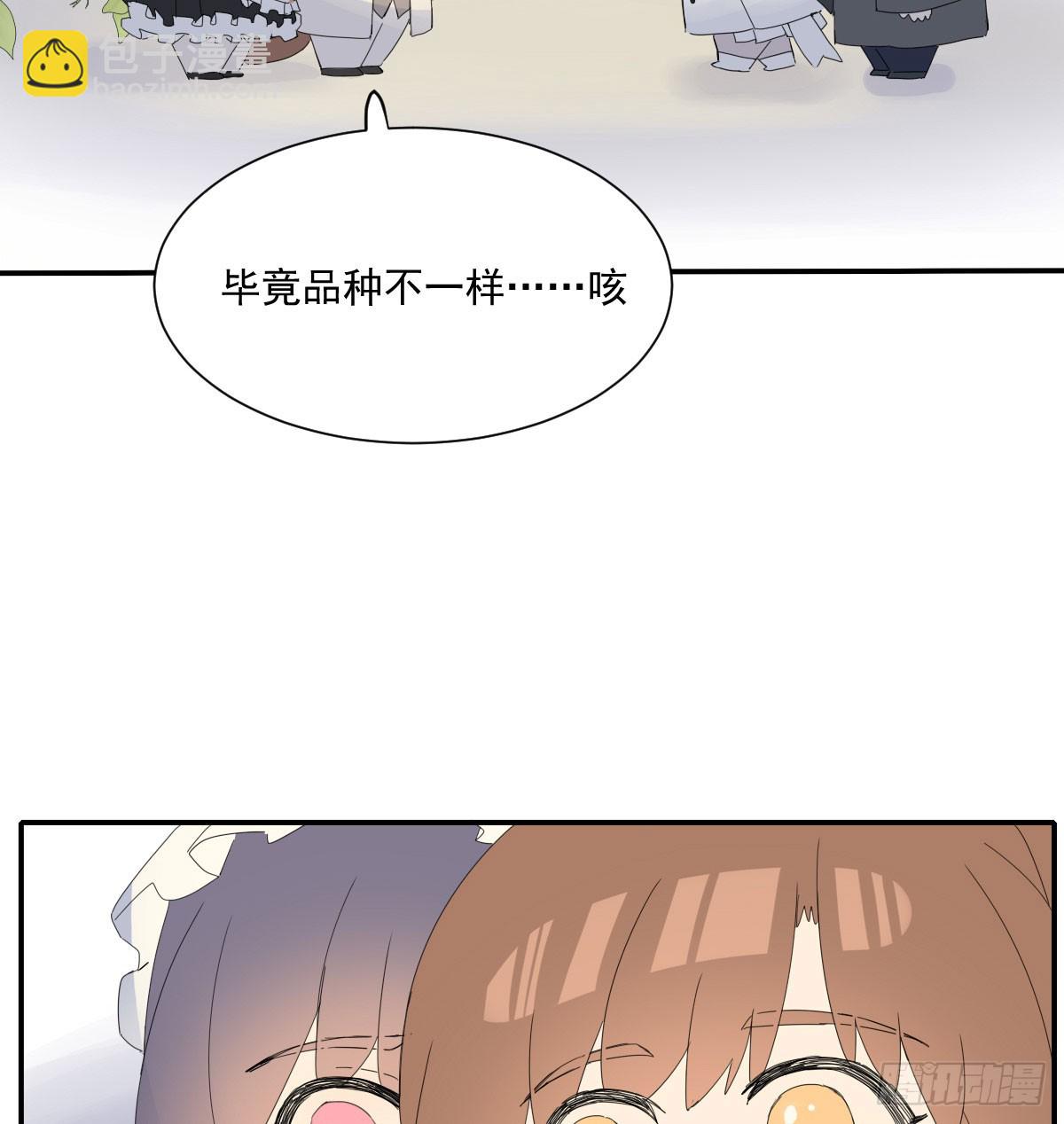 去游园会！27