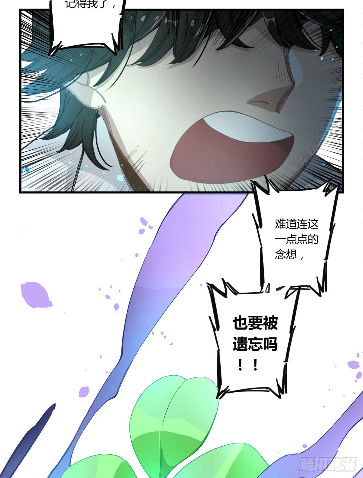 那束花37