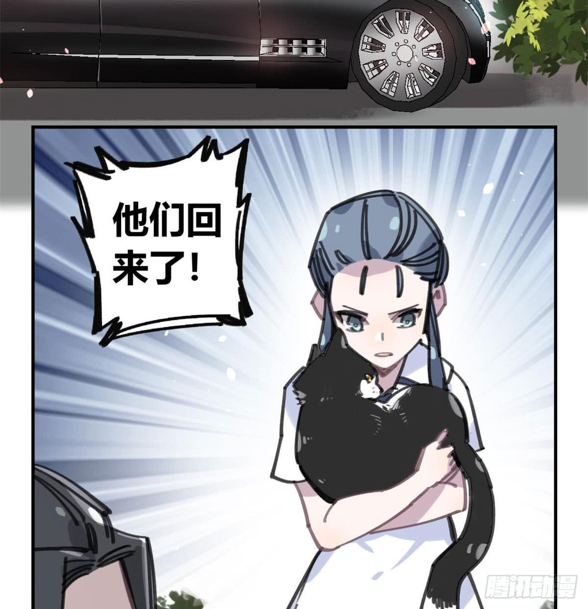 被丢弃的猫11