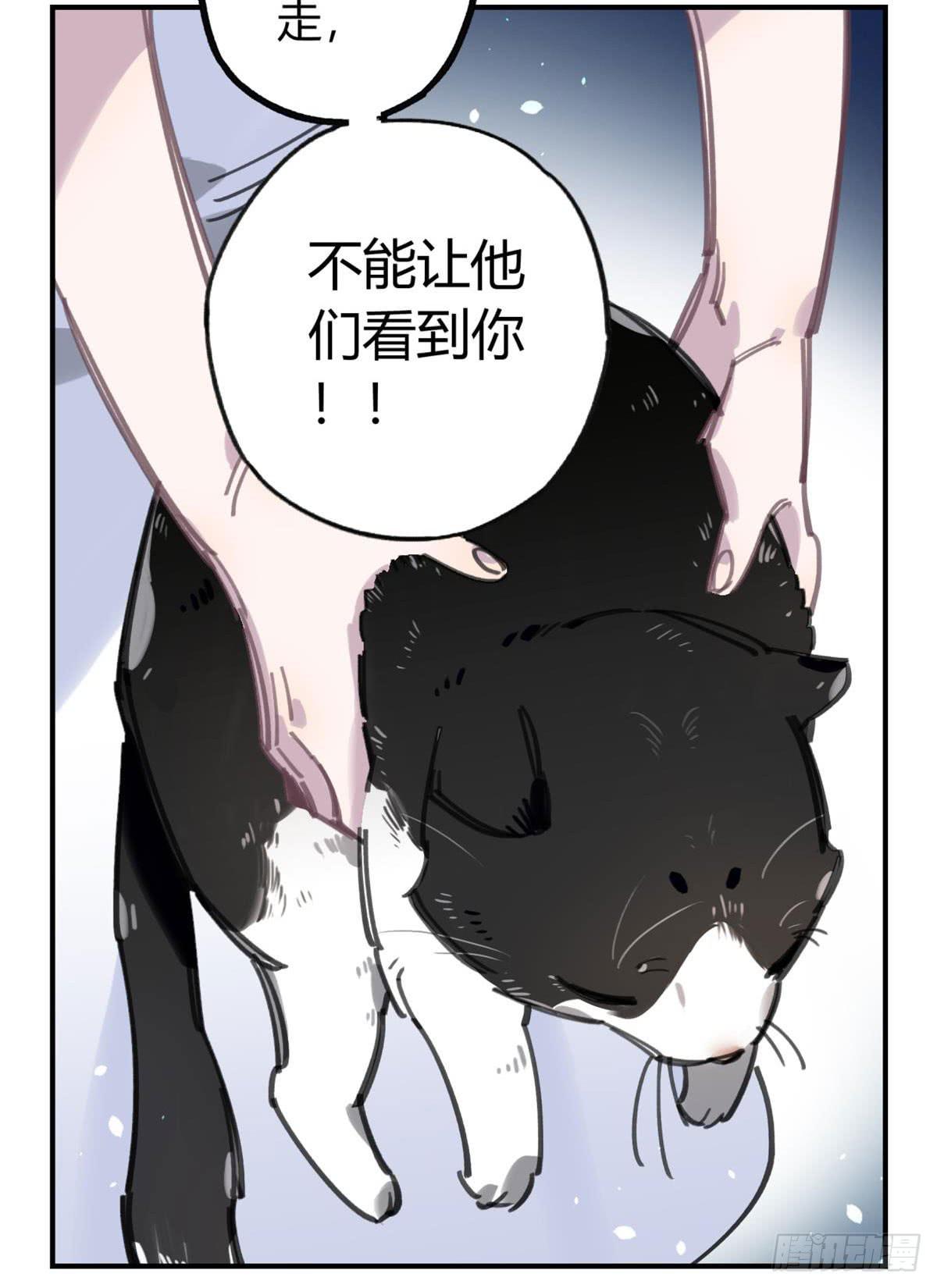 被丢弃的猫13