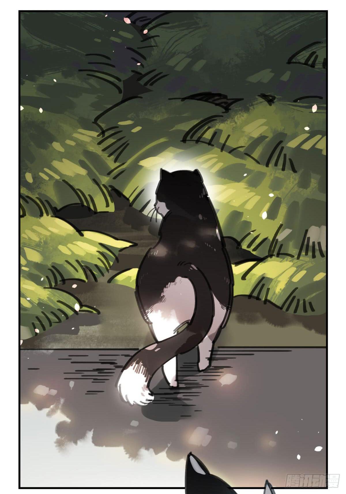 被丢弃的猫14