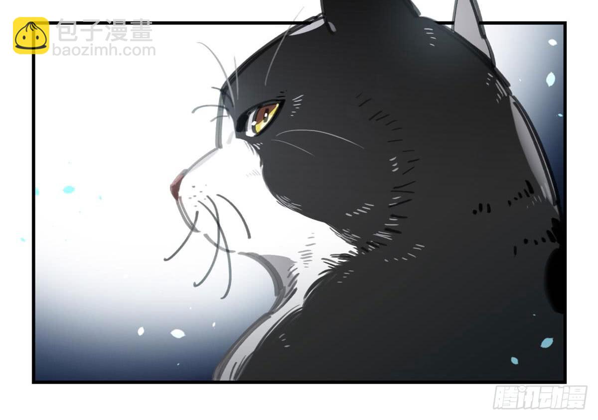 被丢弃的猫15