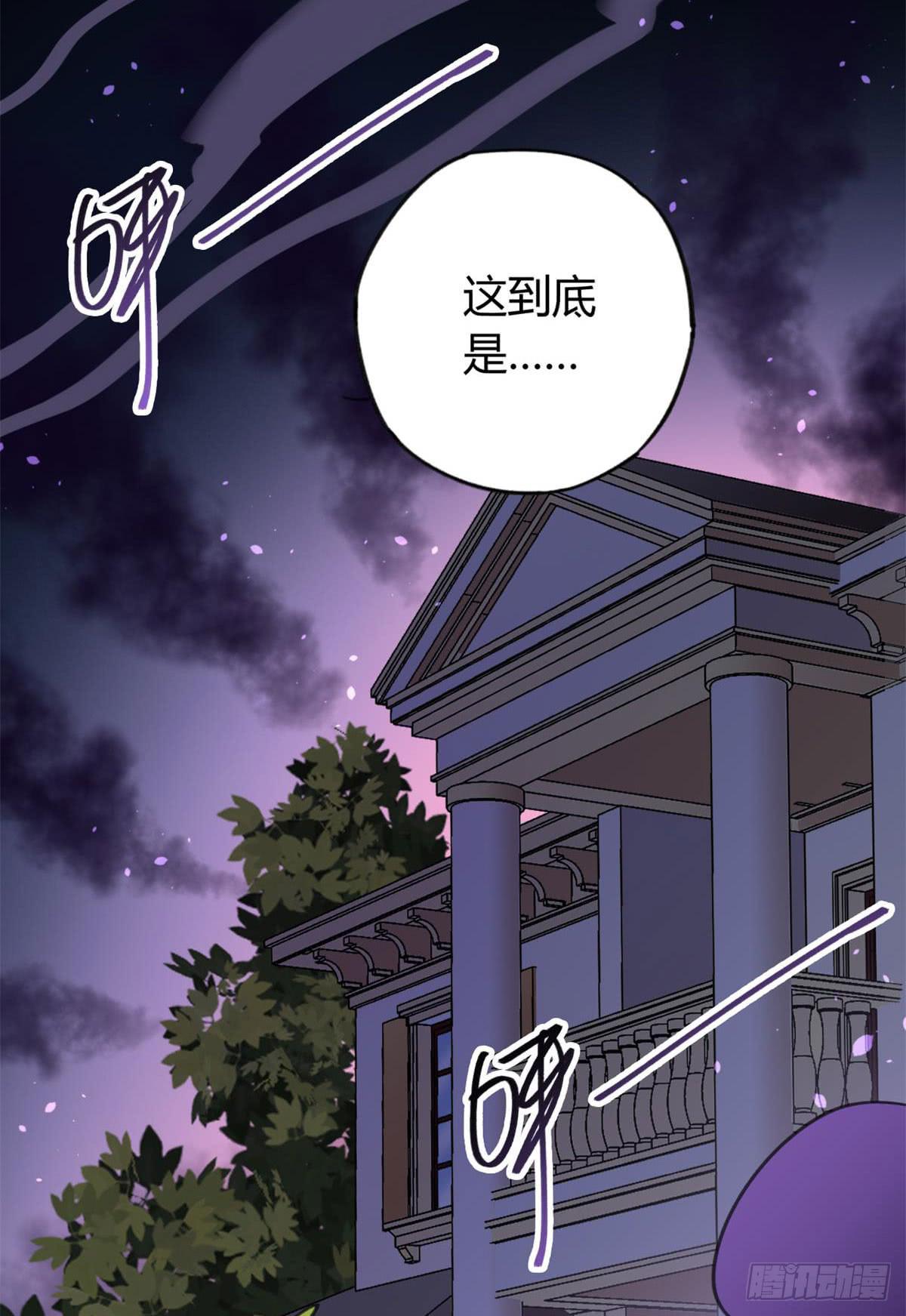 被丢弃的猫21